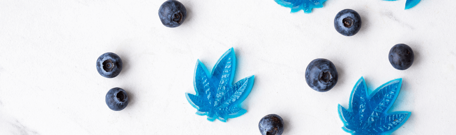 Blueberries and blue CBD gummies scattered.