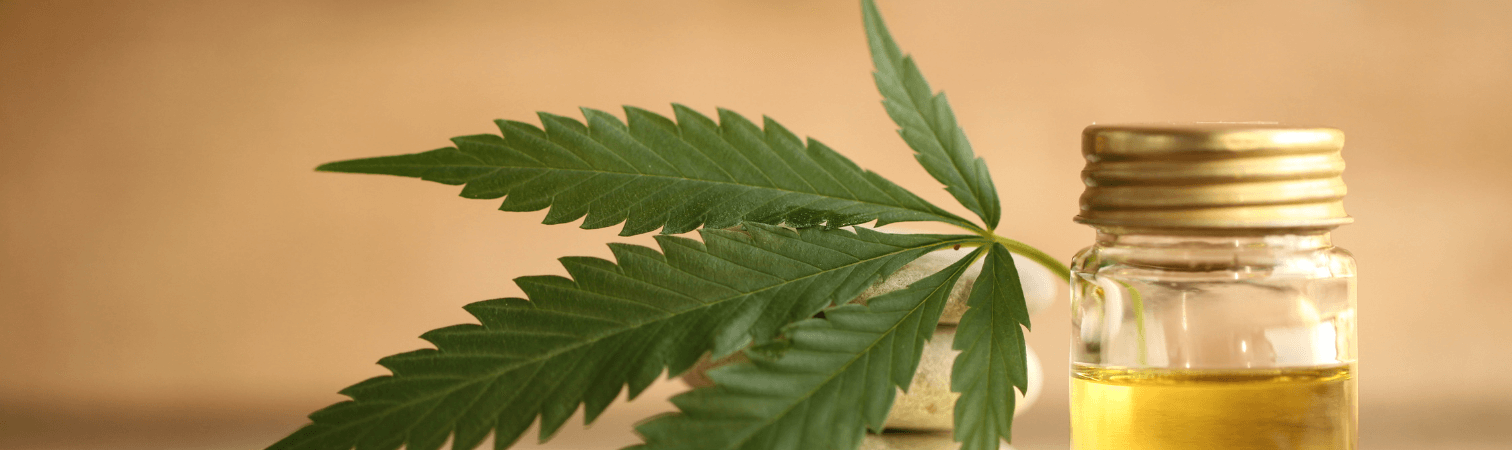 A cannabis leaf next to a small pot of oil.